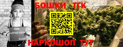 прущие крисы Дубна