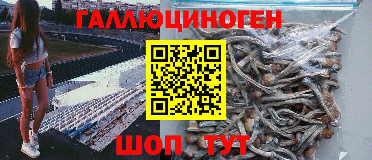 Галлюциногенные грибы Cubensis Фролово