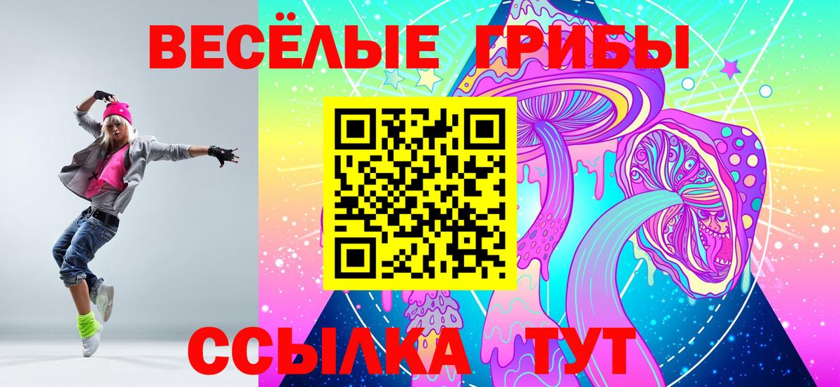 Галлюциногенные грибы GOLDEN TEACHER  Псилоцибиновые грибы мицелий  Фролово 